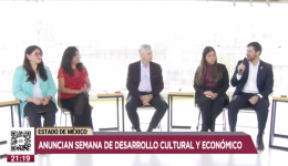 Tv Mexiquense